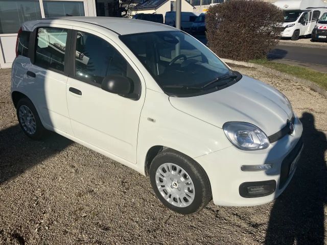Fiat Panda Icon
