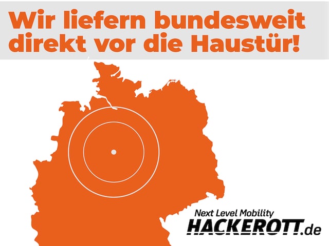 Cupra Formentor Basis LED Navi Keyless ACC Parklenkass. Rückfahrkam. Fernlichtass. AHK-klappbar