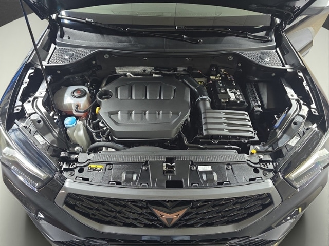 Cupra Ateca 2.0 TSI 4Drive VZ