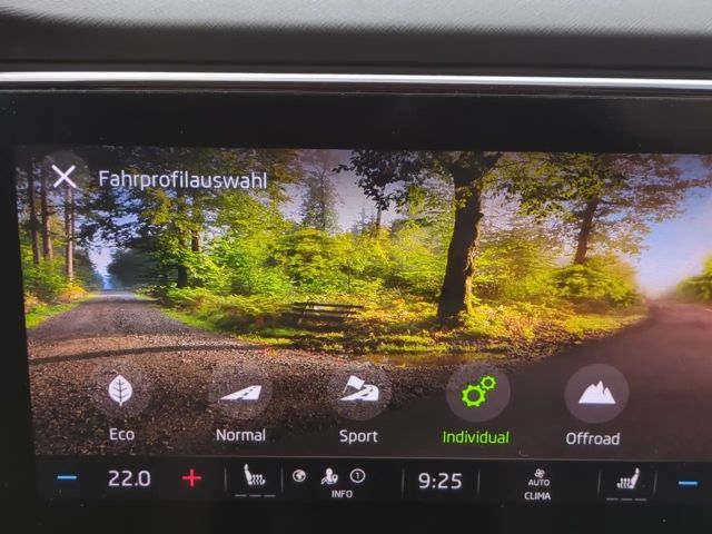 Skoda Octavia 4x4 Combi