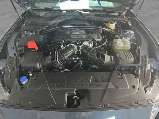 Ford Mustang Fastback GT 5.0 V8