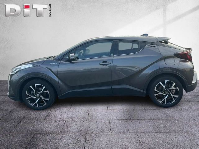 Toyota C-HR Team D