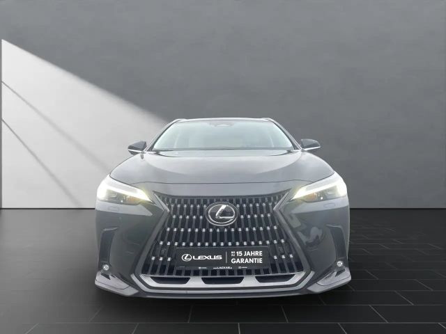 Lexus NX Executive Line