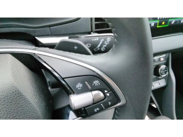 Skoda Karoq Selection