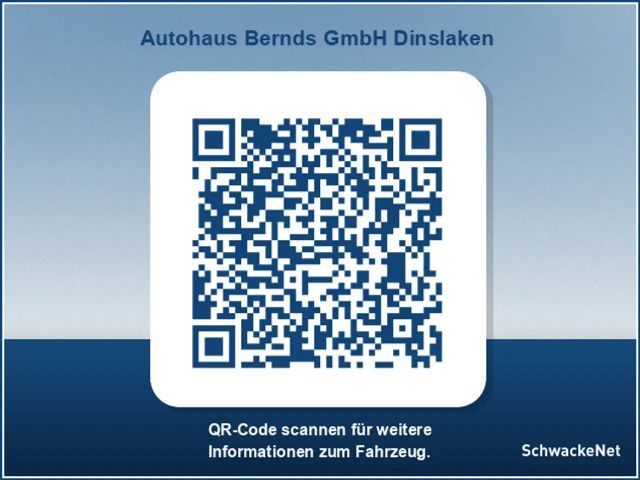 Ford Mustang Mach-E Mustang Mach-E NAVI KLIMAAUTO 360GRAD R-KAMERA LED