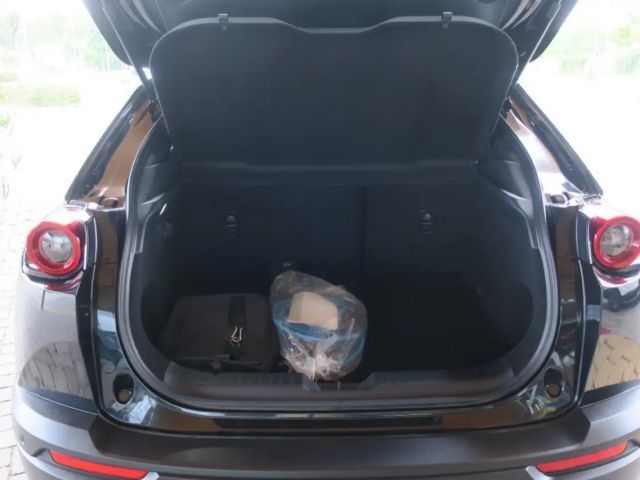 Mazda MX-30 Mazda MX30 R-EV Mokoto (industrial Vintage) DASO