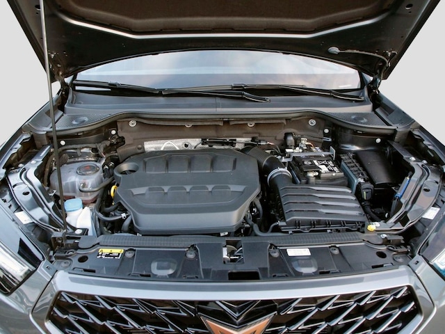 Cupra Ateca 2.0 TSI 4Drive VZ