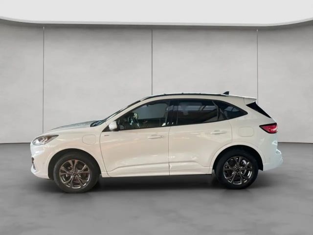 Ford Kuga Plug in Hybrid ST Line