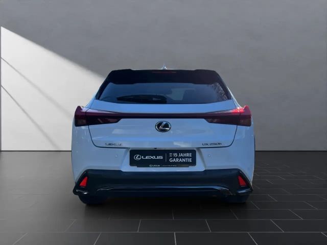 Lexus UX 250h F Sport Sport