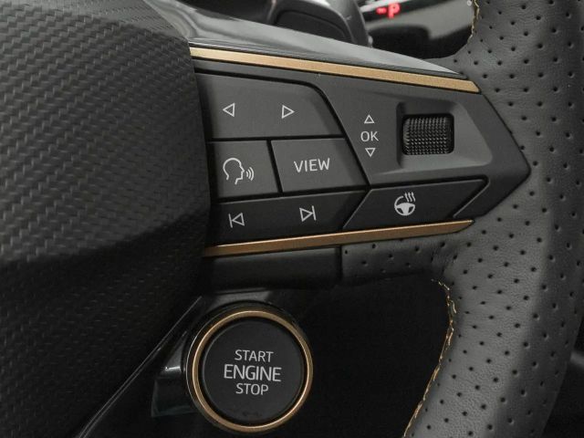 Cupra Terramar 2.0 TSI VZ