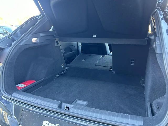 Cupra Terramar 360° Kamera / Head-Up / ACC / Sitzhzg