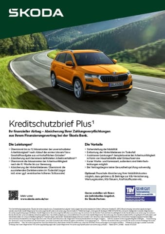 Skoda Kamiq KAMIQ        MC   TS81/1.0 M6F