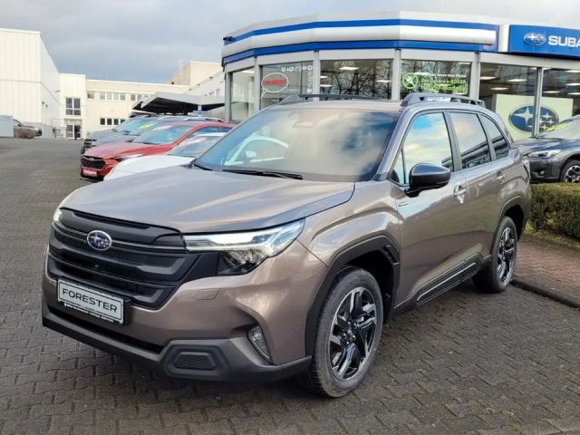 Subaru Forester Exclusive