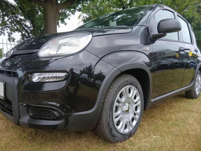 Fiat Panda Pandina 1.0 GSE