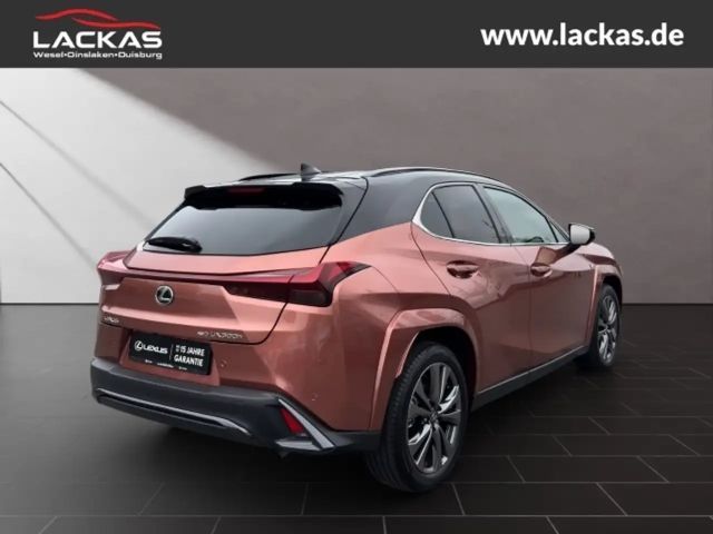 Lexus UX 250h F Sport Sport