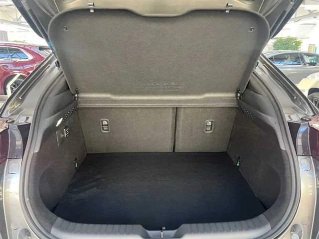 Mazda MX-30 R-EV Nagisa 2025 mit Bose, Matrix-LED & Rückfahrka