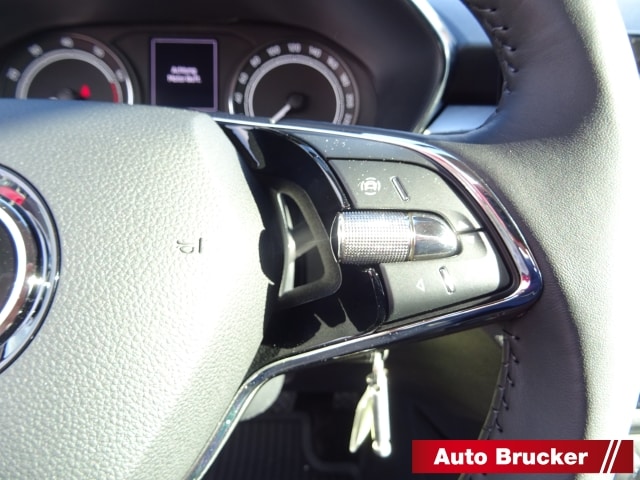 Skoda Fabia Ambition