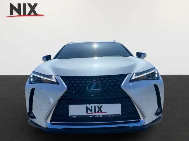 Lexus UX 250h Style Edition