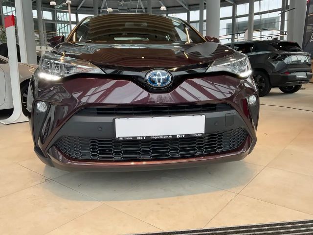 Toyota C-HR Business