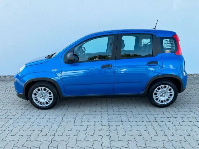 Fiat Panda 1.0 Hybrid+Komfortpaket+5Sitz+LED