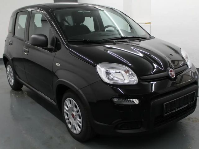Fiat Panda 1.0 GSE DAB+PDC!
