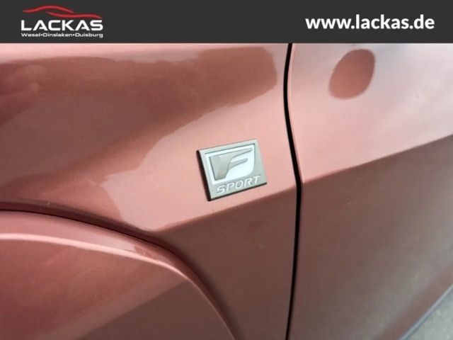 Lexus UX 250h F Sport Sport