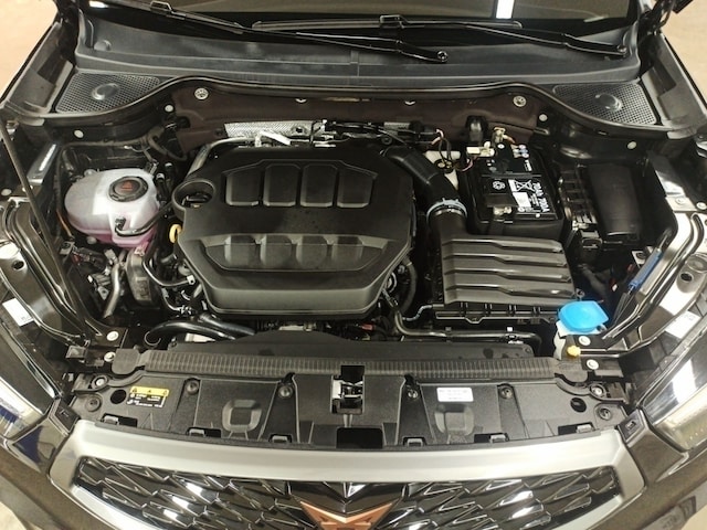 Cupra Ateca 2.0 TSI 4Drive