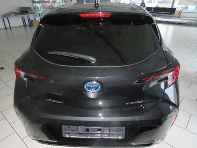 Toyota Corolla Hybride Team D