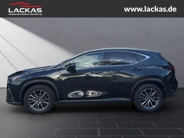 Lexus NX Executive Line