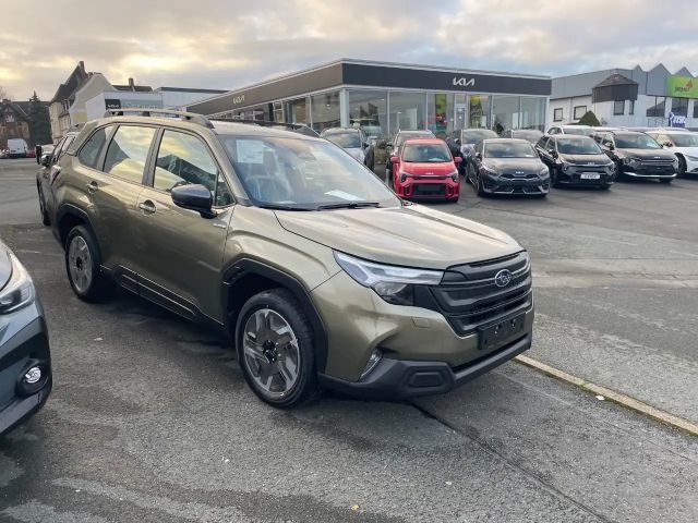 Subaru Forester Trend