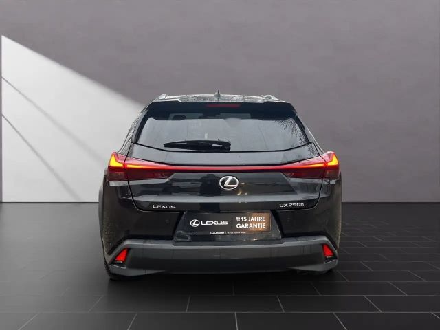Lexus UX 250h