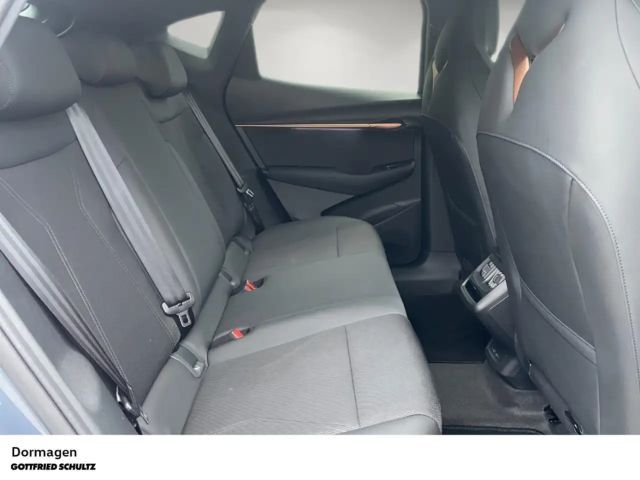 Cupra Tavascan Endurance