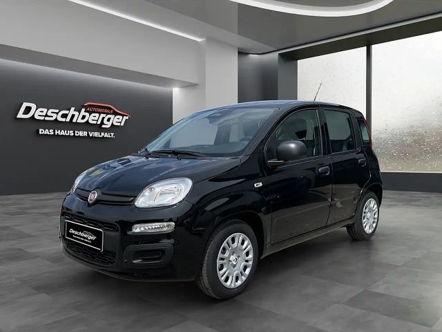 Fiat Panda 4x2