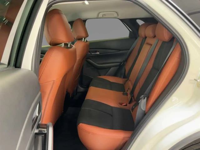 Mazda CX-30 2.0 Nagisa Automatik LED Navi BOSE Kamera