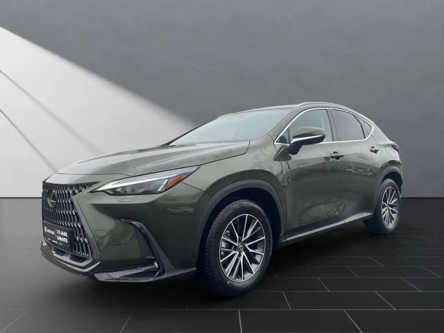 Lexus NX Executive Line