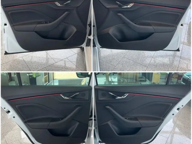 Skoda Kamiq 1.0 TSI Monte Carlo