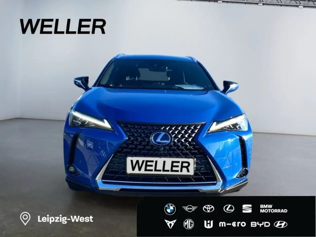 Lexus UX *360°*Pano*HUD*Leder*CarPlay*SHZ*PDC*ACC*