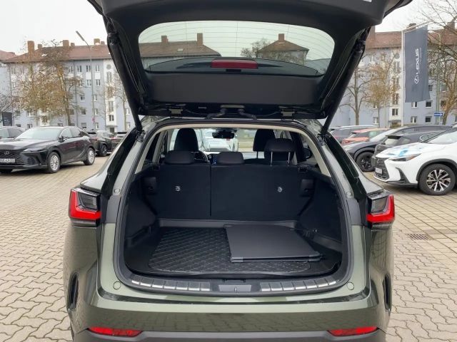 Lexus NX Executive Line