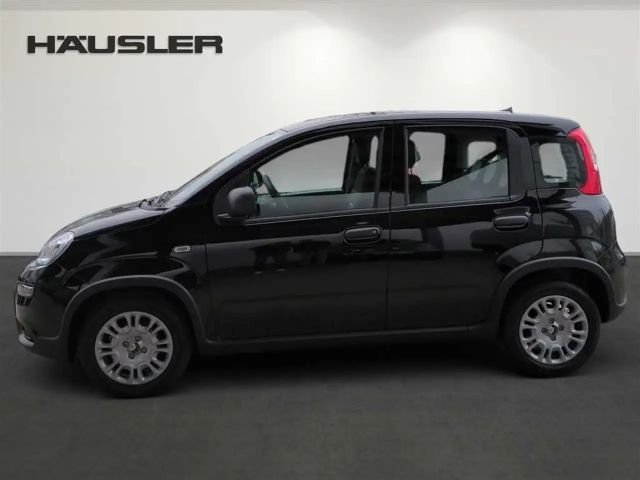 Fiat Panda Hybrid 1.0 GSE Klimaanlage PDC