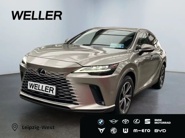 Lexus RX-Serie Business Line
