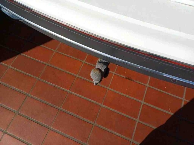 Volkswagen Tiguan 2.0 TDI DSG IQ.Drive