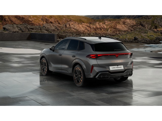 Cupra Terramar 2.0 TSI VZ