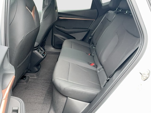 Cupra Tavascan Endurance