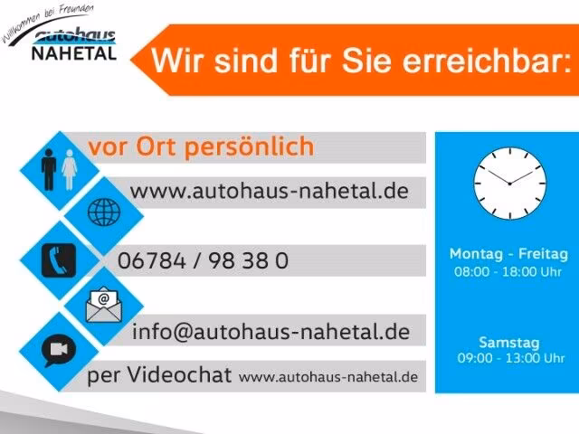 Volkswagen Golf 2.0 TSI GTI Golf VIII