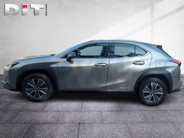Lexus UX Basis Klima Kamera Sitzhzg Tempomat