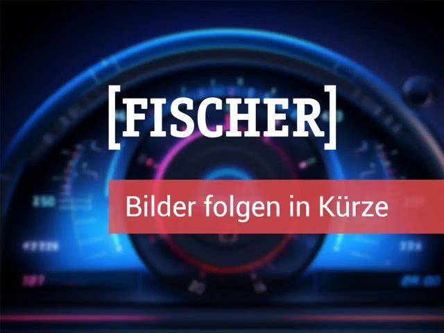 Skoda Fabia 1.0 TSI Selection