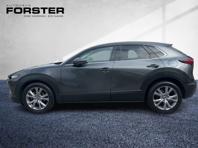 Mazda CX-30 /G122/COMFORTt+/STYLE LED Navi SHZ RFK