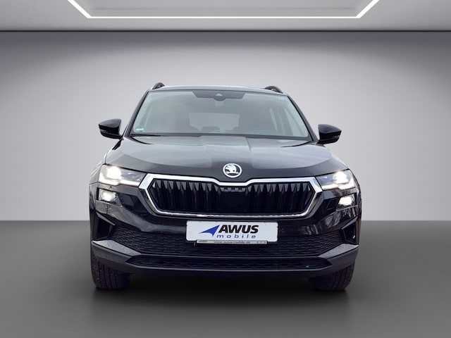 Skoda Karoq 2.0 TDI 4x4 Tour