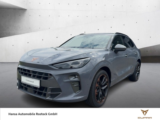 Cupra Terramar 2.0 TSI