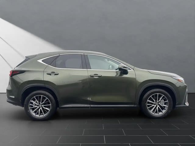 Lexus NX Executive Line